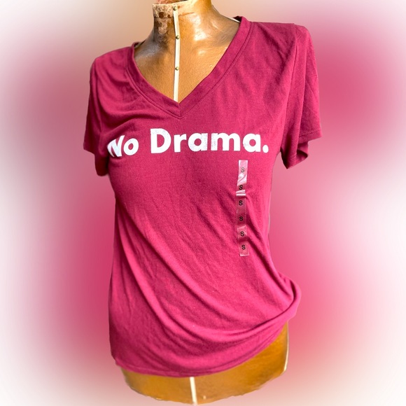 NWT Modern Lux V-neck T-shirt - Picture 1 of 2